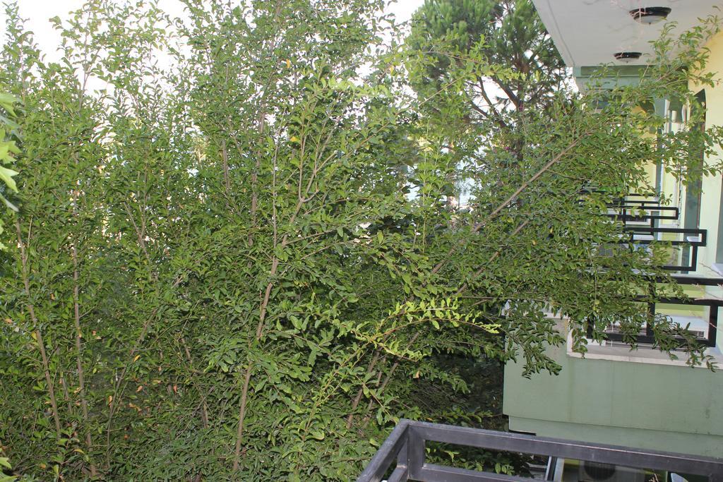 Flora Hotel Koycegiz (Mugla) Quarto foto